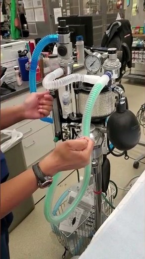 Leak Test Anesthesia Machine #vetmed #vettech #vetmedicine