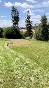 12K views · 174 reactions | $50,000 Remote Controlled Lawn Mower. | Turf And Tools | Facebook