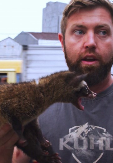 Undercover Investigation of Illegal Exotic Animal Markets