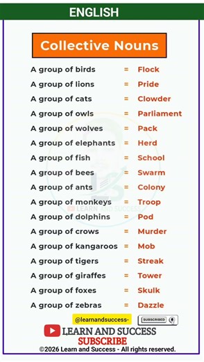 🦁 Do You Know These Group Names? | Collective Nouns #LearnEnglish