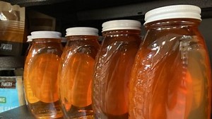 Sweet Victory: Sensor Detects Adulteration in Honey | Newswise