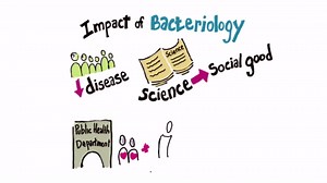 Animation: History of Public Health
