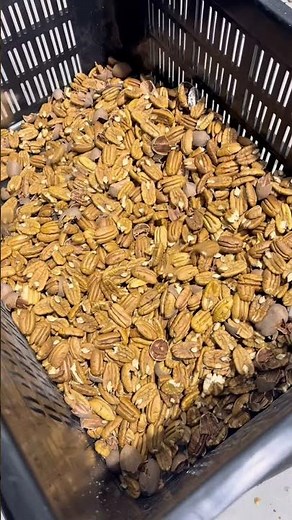 Máquina Peladora de nueces pecan dyfma industria argentina