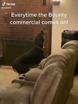 Bounty Paper Towels Online Dating Commercial (2021) On TV (Incomplete)