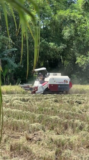 MAXXI || #combineharvester #maxxibimoterbaru #maxxibimo102standar #farming #combinepadi #automobile