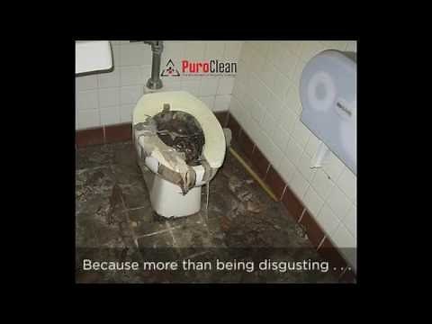 Sewage Backup Cleanup - Tips For The Do-It-Yourself'er