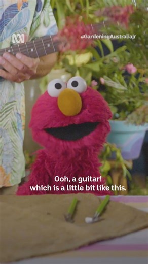 What a talented bunch 🌺✨❤️ #GardeningAustraliaJr #Elmo #AbbyCadabby #Flowers | ABC Kids Community