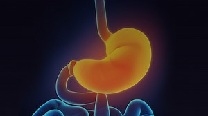 A Look at the Treatment Landscape for Gastroparesis