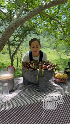 2.3M views · 93K reactions | Molcajete gigante para la comida en lo que van por la madera para la cocina del queso. | Maria Jessica | Facebook