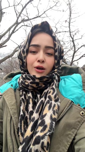 Exploring the Beauty of Hunza Valley