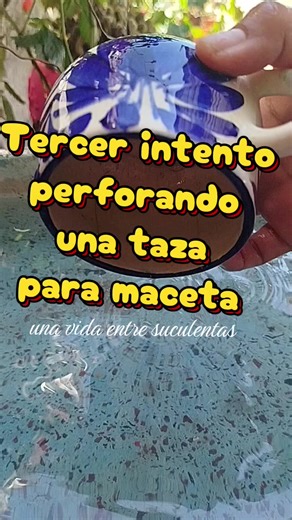 Cómo perforar tazas para hacer macetas