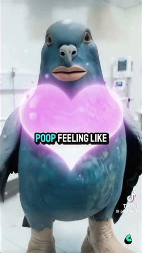 #ai poop pigeon #pigeon