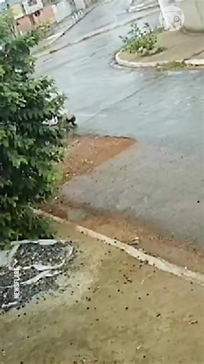 34K views · 87 reactions | Mom & daughter almost get run over by the bus | Lady Panda | Facebook