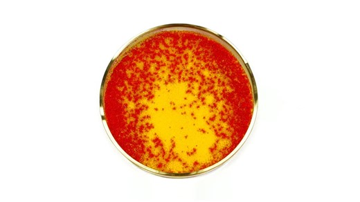 Mercury changing color.