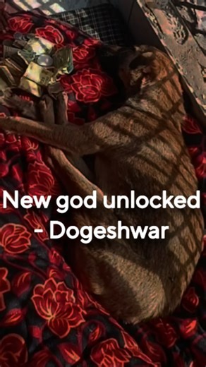 Ishaan Awasthi on Instagram: "New dog unlocked . . . Disclaimer:This content is created and published by Ishaan Awasthi (@think_with_ishaan). The reel may include clips, audio, or images from third-party sources, used strictly for commentary, reaction, review, and educational purposes. All third-party material remains the property of its original creators. No copyright infringement is intended"