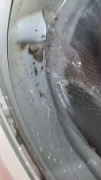 Bosch Maxx 5 overview