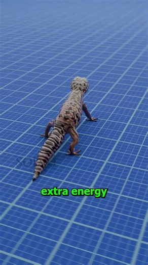 The Gecko With a Built-In Power Bank 😲
