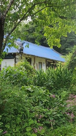 구시포 가다가 삼시세끼 촬영장으로 틀었다 화면하고 다른듯 ♡고창 TV촬영장