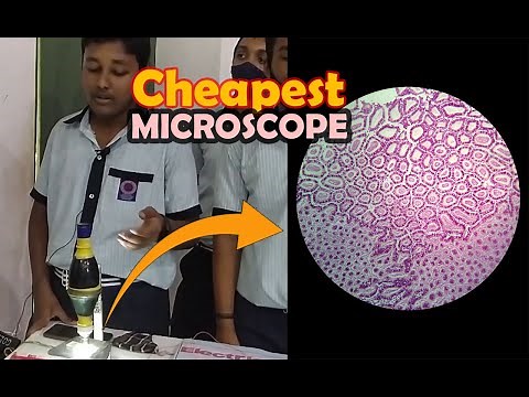 Cheapest Microscope |Science Exhibition | Homemade Microscope | Studylight