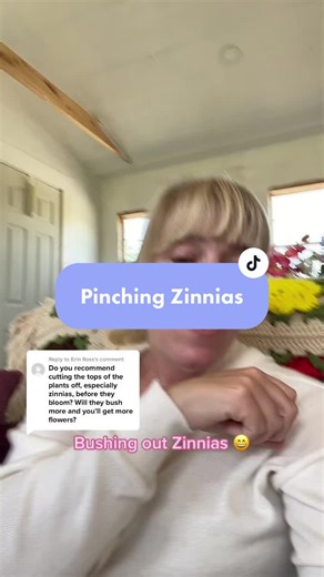 How to Pinch Zinnias: A Gardening Guide