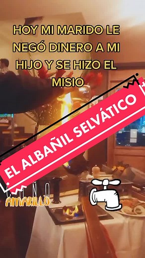 Humorous Restaurant Story: Dining with a Twist