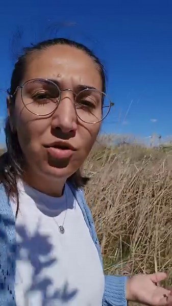 105K views · 4.9K reactions | Înapoi la bloc, stuful vecinilor + plantat în gradina ~Răspund la întrebări~ #secreteleelenei | Secretele Elenei | Facebook