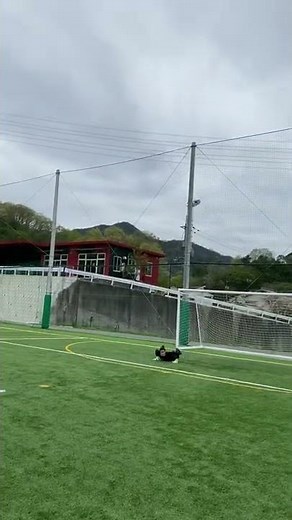 世界一モデルのイギータ#short