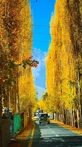 ✨ Explore Northern Pakistan! 🇵🇰 Skardu | Hunza | Fairy Meadows | Naran | Astore ✈️ By Air or 🚗 By Road — Customized Tours for Family, Honeymoon, Groups & Students. 💰 Affordable Packages | 📸 Lifetime Memories 📞 wa.me/ 923488273024 Northern Pakistan Trek & Tours “Discover the unseen beauty of the North.” 🌄 #NorthernPakistanTrekAndTours #GilgitBaltistan #ExplorePakistan #beautifulpakistan | Northern Pakistan Trek & Tour