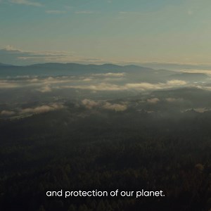 50 reactions | How to decelerate climate change? How to reach...