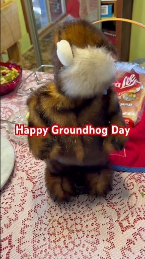 The Caddyshack Gopher celebrating Groundhog Day. ❤️❤️❤️