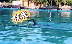 自由泳派全浸游泳，轻松高效享受每一划