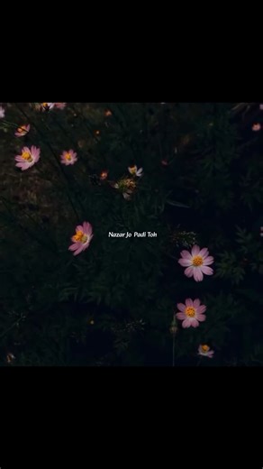 BS EK DHADAK ✨💞 || Aethetics lyrics status || Shreya Ghoshal ||#shorts​ #lryics​ #jubinnautiyal