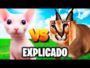 Why are Big Floppa and Bingus enemies? (subtitles in english)