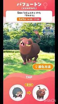 5月コミュニティ・デイ「 グルトン 」②【 ポケモンgo 】オス♂メス♀で進化に違いがあるので♂♀GET!それぞれ進化！ #ポケモン #pokemon #ポケモンgo #pokemongo #グルトン