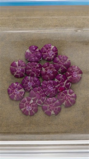 Crushing Skittles to make Skittles cake! 🟣🟡 #foodhacks #parentinghacks #shorts | FoodGasmic