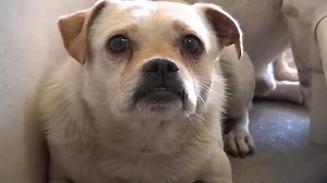 6.1K views · 322 reactions | BOTH SAFE SEPARATELY These 2 guys are...