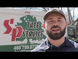 SP Tree Service | Dallas Fort Worth Texas Area Tree Trimming, Tree Removal, Stump Removal and More