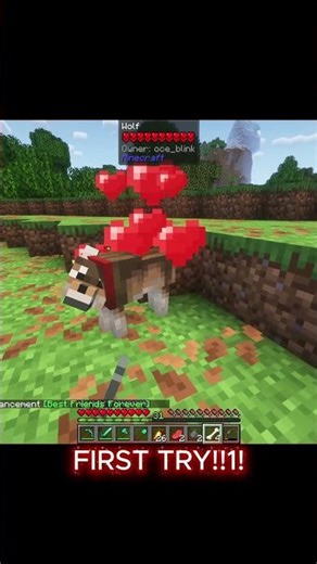 Getting My First Dog! #minecraft #gaming #dog #shorts