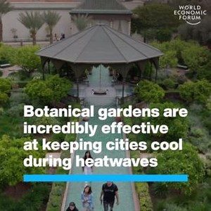 The cooling effect of green spaces in cities is well-known, but which type of green space does it best? Learn more about how climate change will reshape health landscapes over the coming years from the Forum’s report ‘Quantifying the Impact of Climate Change on Human Health’: https://ow.ly/fLHX50QP0l1 | World Economic Forum