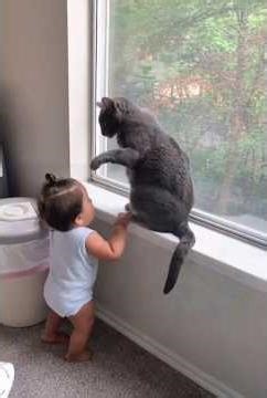 Babys X Cat #baby #cat #love