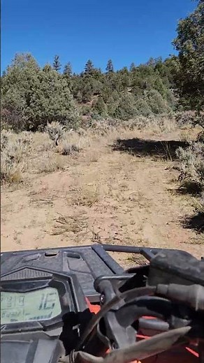 ATV Riding in the National Forest in NM