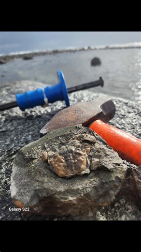 38 reactions | Tim Miller on Reels | Facebook