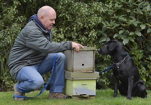 Dog-training movie chosen as US finalist