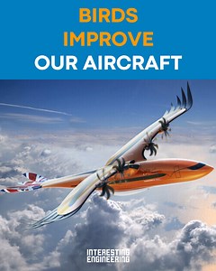 129K views · 4K reactions | Scientists have studied how birds function and if there are any new ideas they could take to improve planes. | Interesting Engineering | Facebook