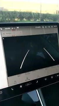 Rear Camera Blackout