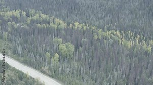dolly roll aerial over mountain valley highway freeway road with sparce vehicle traffic surrounded by lush green forest foliage to a fall winter horizon
