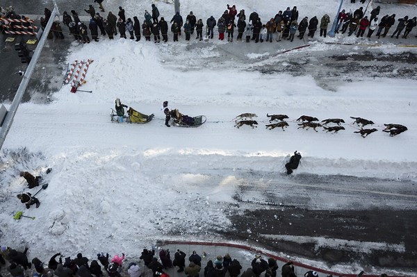 Dog deaths revive calls for end to Iditarod, the endurance race with deep roots in Alaska tradition