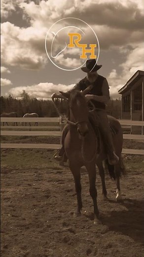 Want a Calmer Horse? Start Here: Teach Your Horse to Cross His Hindquarters