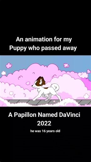 playing Pokopia but came across this old animation and wanted to share it in normal view here! I made this back in 2022 when he passed away. I loved that dog, even though he was stubborn and grouchy. #animation #papillon #dogs #puppytiktok #2danimation