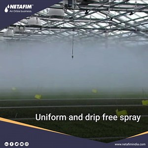 Elevate your growing game with CoolNet Pro™! Our super-fine fogger provides flawless misting - uniform and drip-free, even at low pressures. With micro-sized droplets as small as 65 microns, CoolNet Pro™ is perfect for greenhouses, net houses, poultry or livestock sheds. Equipped with an anti-drain wall and high-frequency option, it ensures efficient operation and advanced misting capabilities. Upgrade to CoolNet Pro™ for the ultimate misting solution that's designed to elevate your growing to n